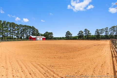 Tiny photo for 578 Atkins Road, Cameron, NC 28326 (MLS # 764582)