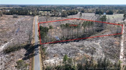 Tiny photo for Lot 7 Barnesville Church Road, Orrum, NC 28369 (MLS # 753888)