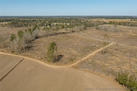 Tiny photo for Lot 7 Barnesville Church Road, Orrum, NC 28369 (MLS # 753888)