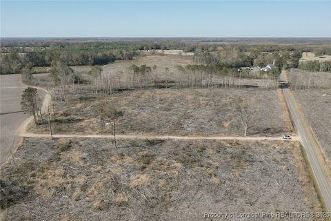 Tiny photo for Lot 7 Barnesville Church Road, Orrum, NC 28369 (MLS # 753888)