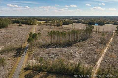 Tiny photo for Lot 7 Barnesville Church Road, Orrum, NC 28369 (MLS # 753888)