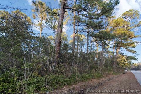 Tiny photo for 511 Sanders Street, Hope Mills, NC 28348 (MLS # 751367)