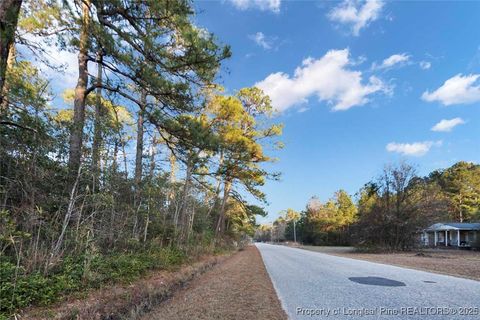 Tiny photo for 511 Sanders Street, Hope Mills, NC 28348 (MLS # 751367)