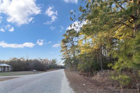 Tiny photo for 511 Sanders Street, Hope Mills, NC 28348 (MLS # 751367)