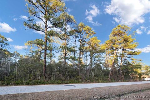 Photo of 511 Sanders Street, Hope Mills, NC 28348 (MLS # 751367)
