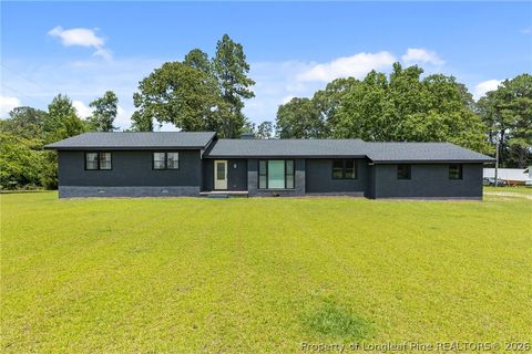 Photo of 1250 Overhills Road, Linden, NC 28356 (MLS # 757460)