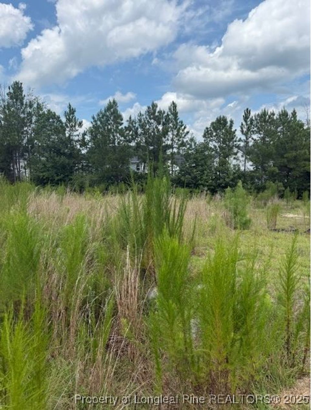 Photo of 457 Pittfield Run, Cameron, NC 28326 (MLS # 747963)