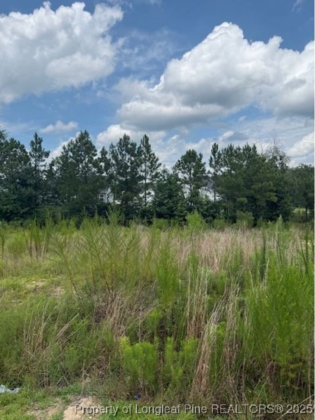 Photo of 457 Pittfield Run, Cameron, NC 28326 (MLS # 747963)