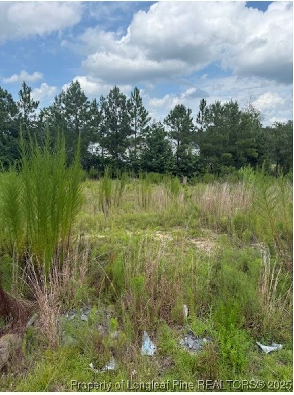 Photo of 457 Pittfield Run, Cameron, NC 28326 (MLS # 747963)