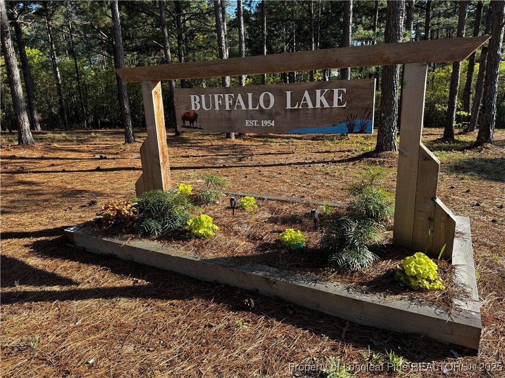 Photo of 864 Vic Keith Road, Sanford, NC 27332 (MLS # 741771)