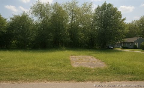 Photo of 212 Andy Street, Fayetteville, NC 28303 (MLS # 750973)
