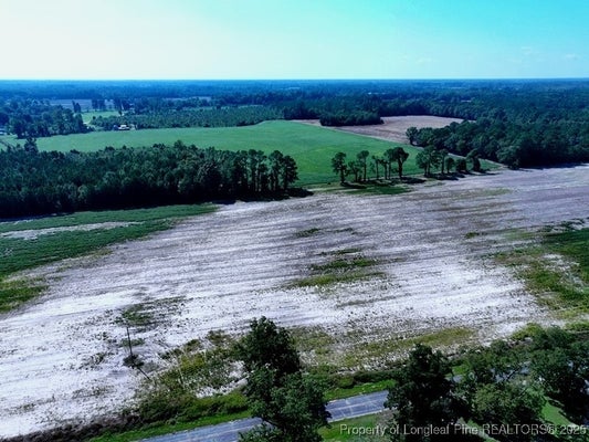 COWPEN SWAMP RD, FAIRMONT, NC 28340 - Image 23557901fa7b73b715049ec68510e29d/2817049792