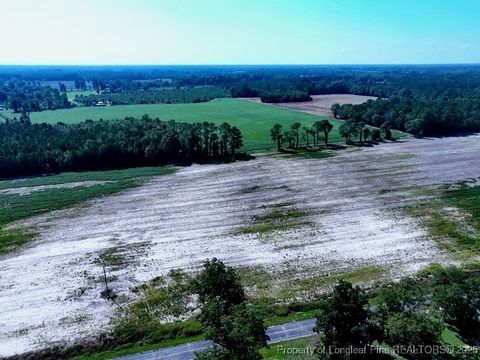 Photo of TBD Cowpen Swamp Road, Fairmont, NC 28340 (MLS # 753988)