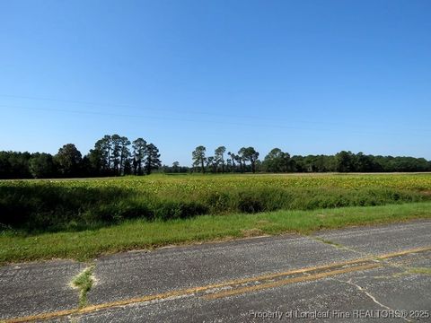 Tiny photo for TBD Cowpen Swamp Road, Fairmont, NC 28340 (MLS # 753988)