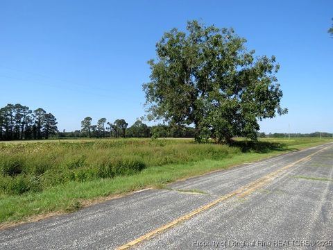 Tiny photo for TBD Cowpen Swamp Road, Fairmont, NC 28340 (MLS # 753988)