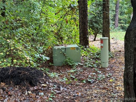 Tiny photo for 2004 Country Club Court, Sanford, NC 27332 (MLS # 752667)