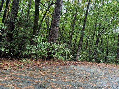 Tiny photo for 2004 Country Club Court, Sanford, NC 27332 (MLS # 752667)