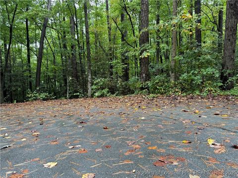 Tiny photo for 2004 Country Club Court, Sanford, NC 27332 (MLS # 752667)