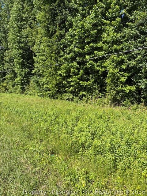 Photo of Lemon Springs Road, Sanford, NC 27332 (MLS # 762539)