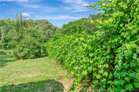 Tiny photo for 591 E Great Marsh Church Road, St Pauls, NC 28384 (MLS # 765304)