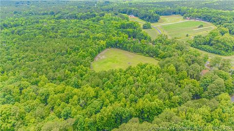Tiny photo for 140 Hardy Road, Carthage, NC 28327 (MLS # 765093)