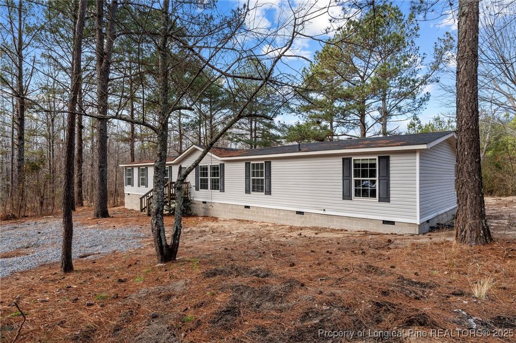 Photo of 9890 Blackjack Drive, Sanford, NC 27332 (MLS # 750016)