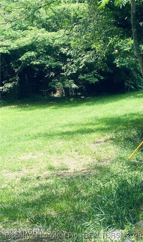 Tiny photo for 202 Millstone Court, West End, NC 27376 (MLS # 754742)