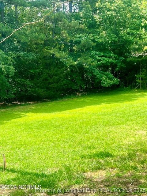 Tiny photo for 202 Millstone Court, West End, NC 27376 (MLS # 754742)