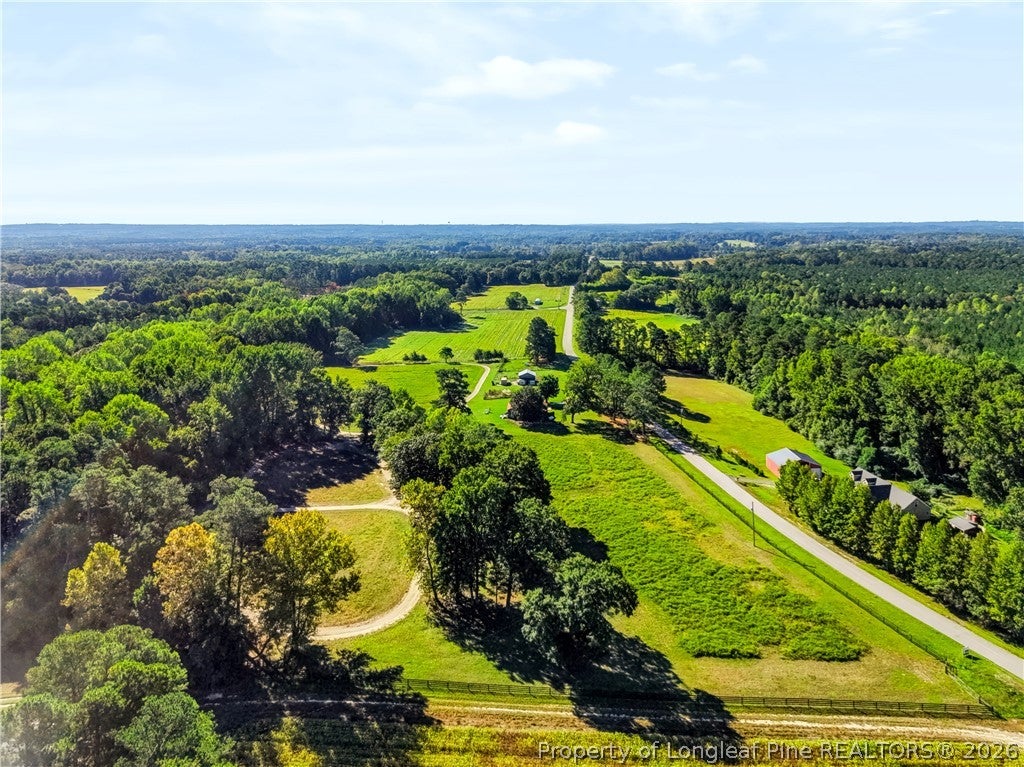 Photo of 1870 McCormick Road, Sanford, NC 27332 (MLS # 770894)