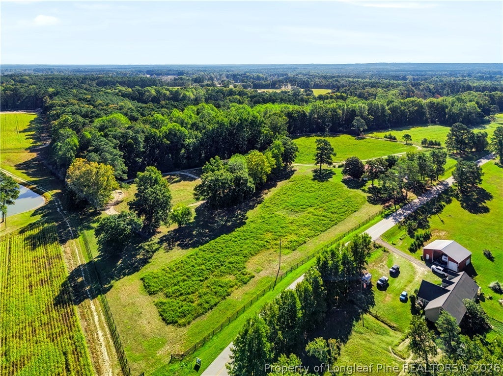Photo of 1870 McCormick Road, Sanford, NC 27332 (MLS # 770894)