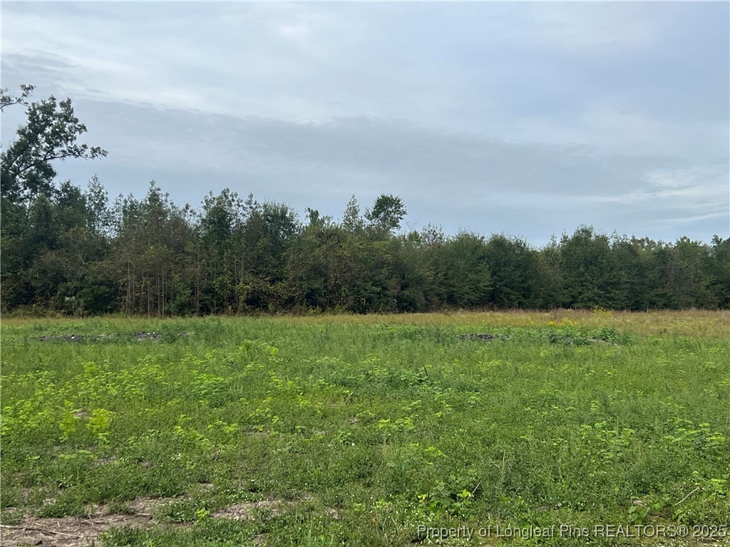 4013 Blue Springs Road