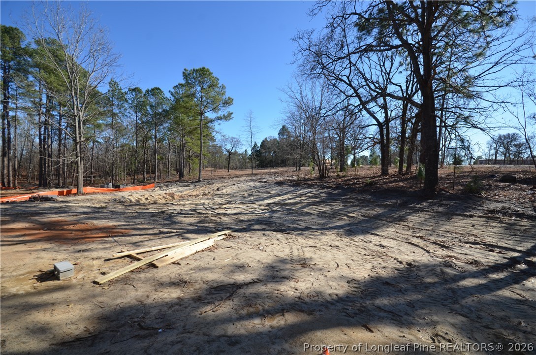 302 D L Phillips (Lot 1) Lane