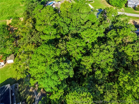Tiny photo for tbd Panners Place, Sanford, NC 27330 (MLS # 770296)
