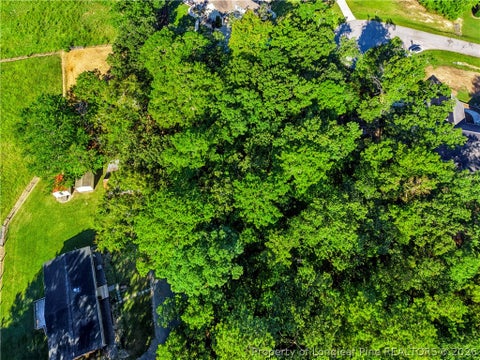 Tiny photo for tbd Panners Place, Sanford, NC 27330 (MLS # 770296)