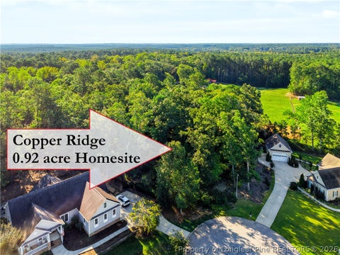 Tiny photo for tbd Panners Place, Sanford, NC 27330 (MLS # 770296)
