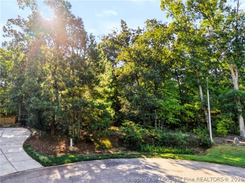 Tiny photo for tbd Panners Place, Sanford, NC 27330 (MLS # 770296)