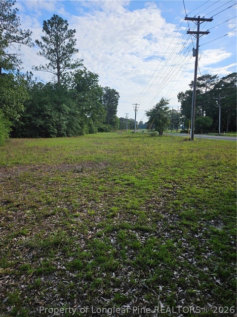 Photo of 4266 Sids Mill Road, Fayetteville, NC 28312 (MLS # 768629)