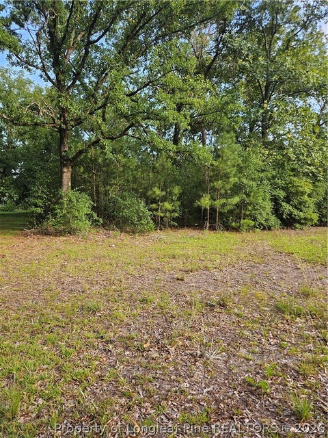 Tiny photo for 4266 Sids Mill Road, Fayetteville, NC 28312 (MLS # 768629)