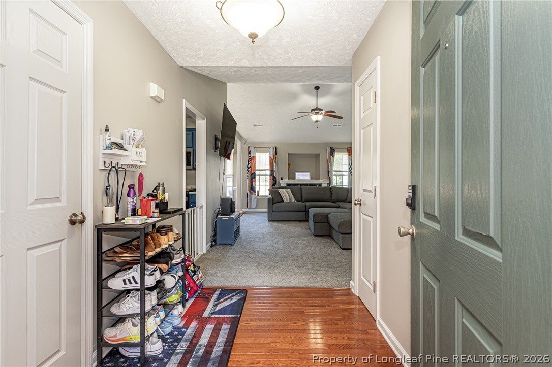 8342 Judy Drive