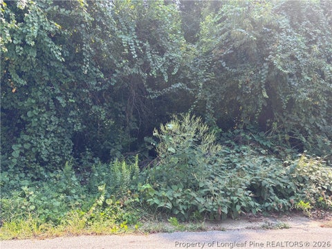 Photo of 421 Preston Avenue, Fayetteville, NC 28301 (MLS # 769603)