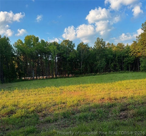 Photo of TBD Myrtle Road, Roseboro, NC 28382 (MLS # 768588)