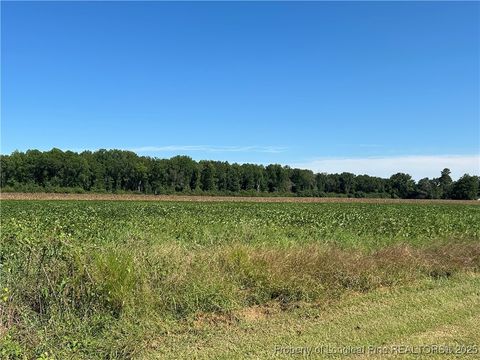 Tiny photo for McQuage Road, Raeford, NC 28376 (MLS # 749943)
