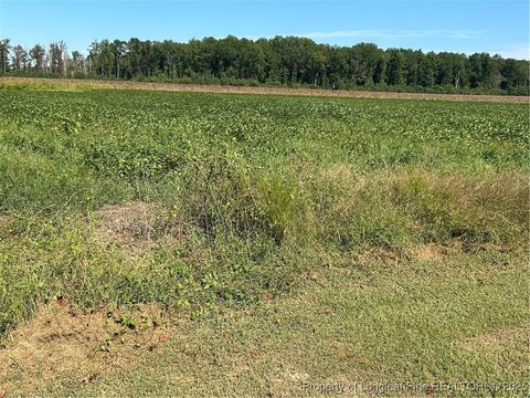 Tiny photo for McQuage Road, Raeford, NC 28376 (MLS # 749943)