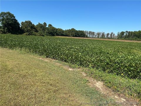 Tiny photo for McQuage Road, Raeford, NC 28376 (MLS # 749943)