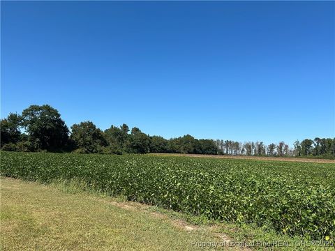 Tiny photo for McQuage Road, Raeford, NC 28376 (MLS # 749943)