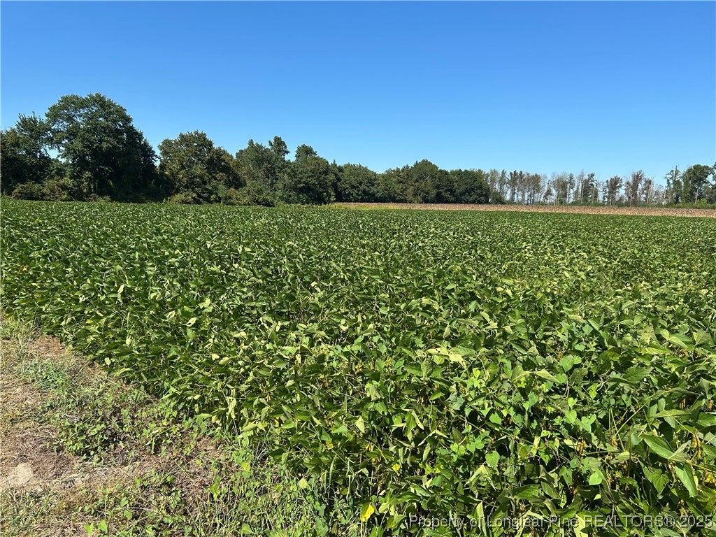 Photo of McQuage Road, Raeford, NC 28376 (MLS # 749943)