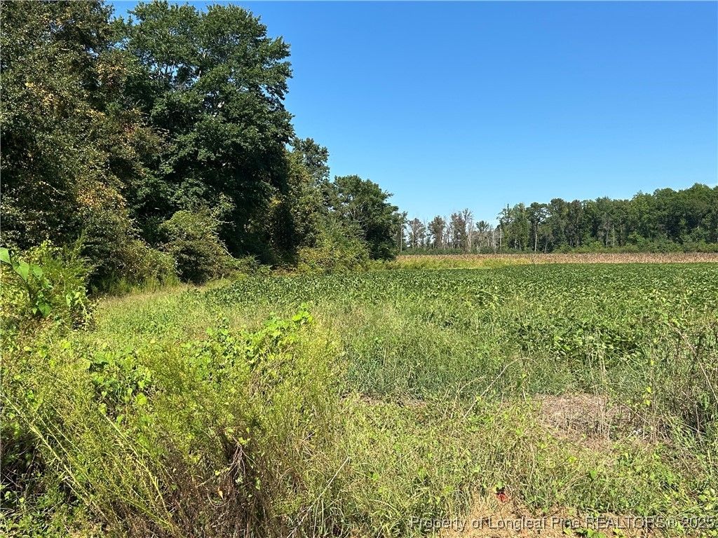 Photo of McQuage Road, Raeford, NC 28376 (MLS # 749943)