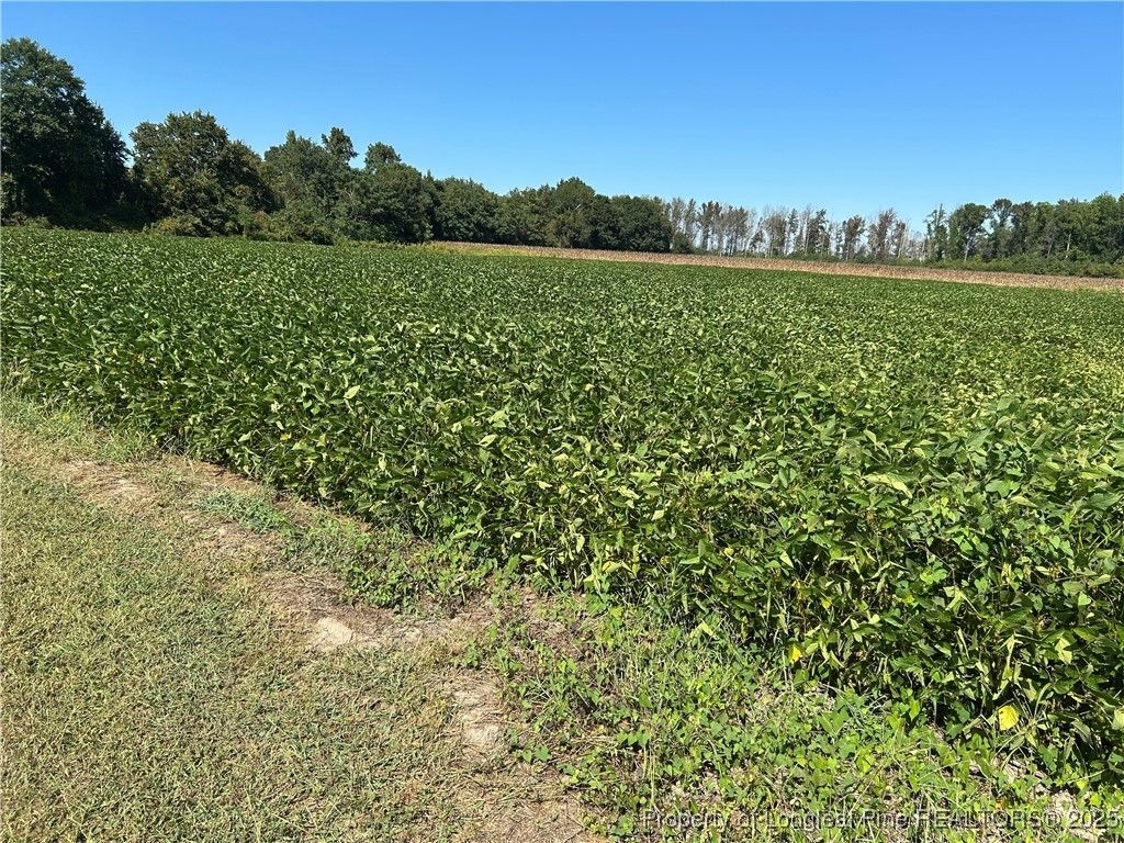 Photo of McQuage Road, Raeford, NC 28376 (MLS # 749943)