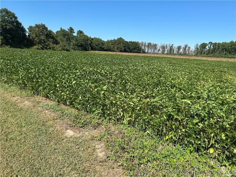 Tiny photo for McQuage Road, Raeford, NC 28376 (MLS # 749943)