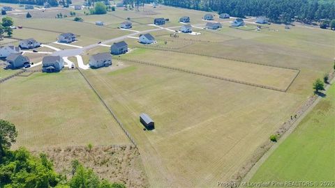 Tiny photo for 339 Rocking Horse Lane, Raeford, NC 28376 (MLS # 761037)